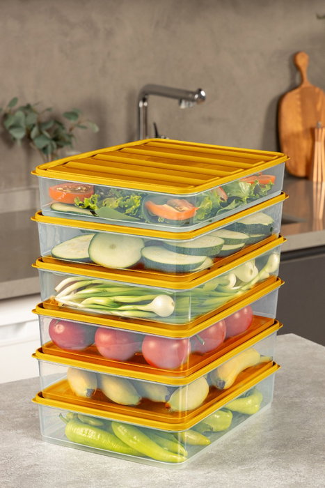 Hermia Set de 4 Cajas de Almacenaje Naranja